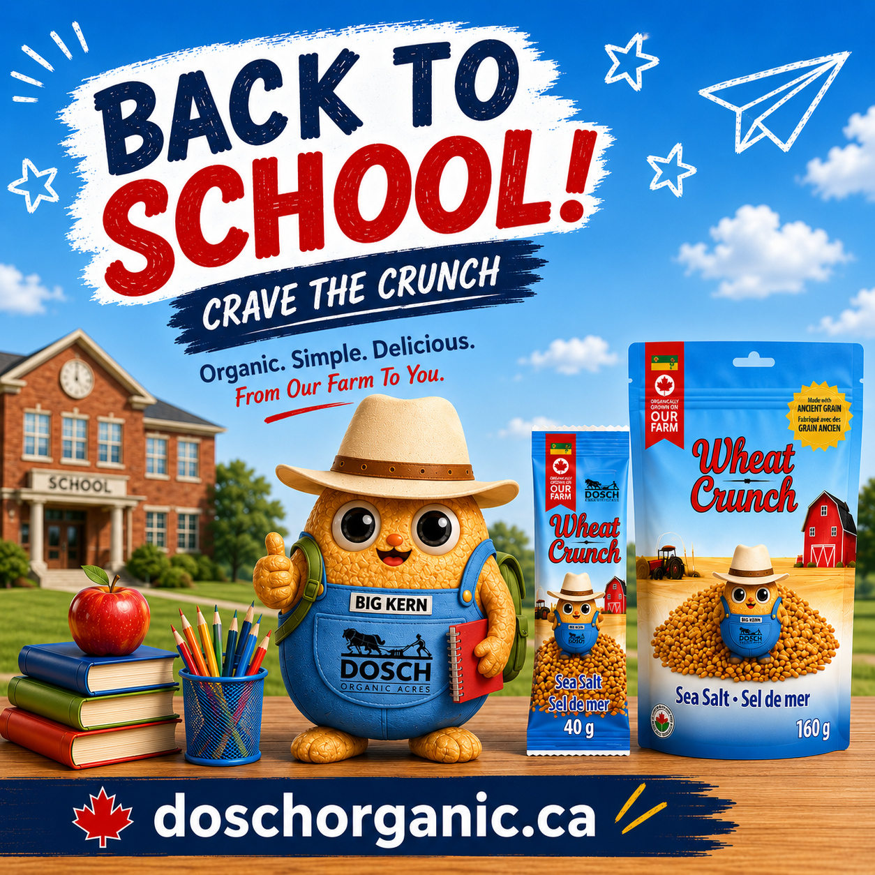 Back To School Special